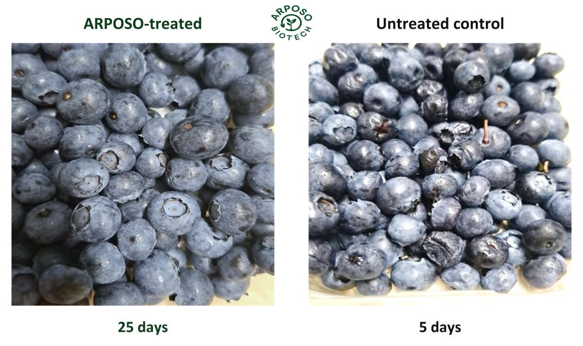 Fruits from ARPOSO development work