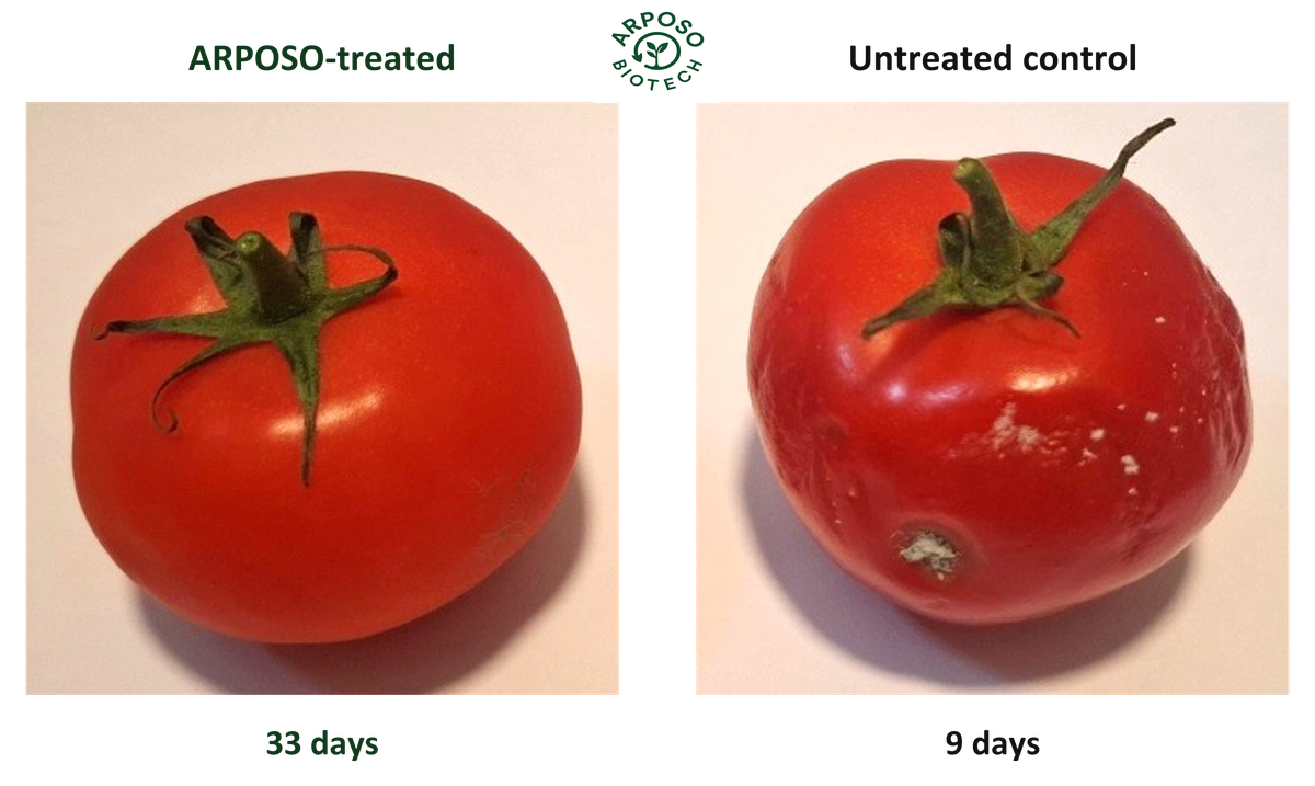 Vegetables from ARPOSO development work